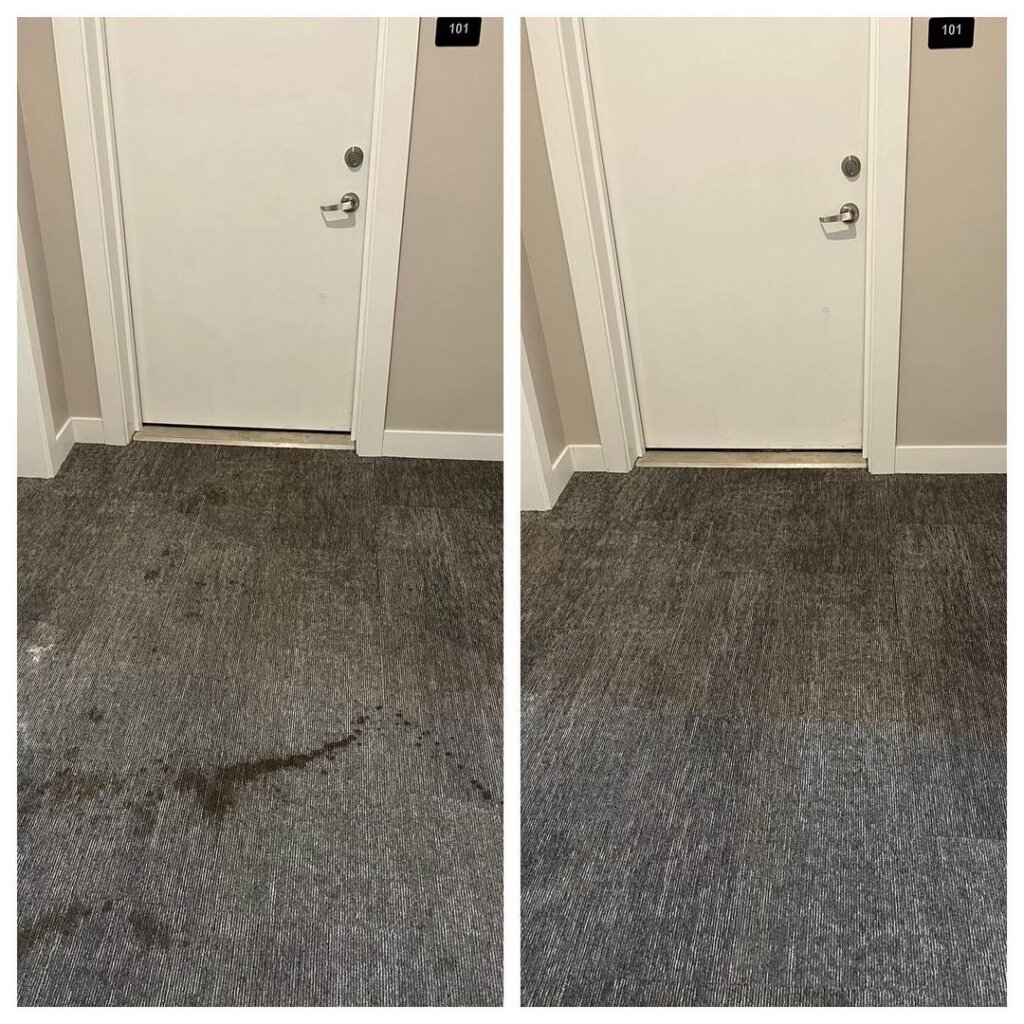 Journey-Carpet-Cleaning-Carpet-Cleaning-Service-in-Holland-MI (28)