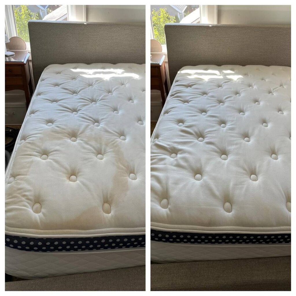 Journey-Carpet-Cleaning-Upholstery-Cleaning-in-Holland-MI